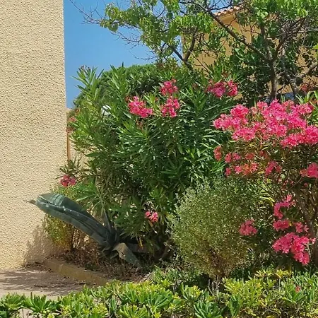 Apartmán 5 Min A Pied De La Plage, Wifi, Tres Joli Maisonnette 4 Couchages, *